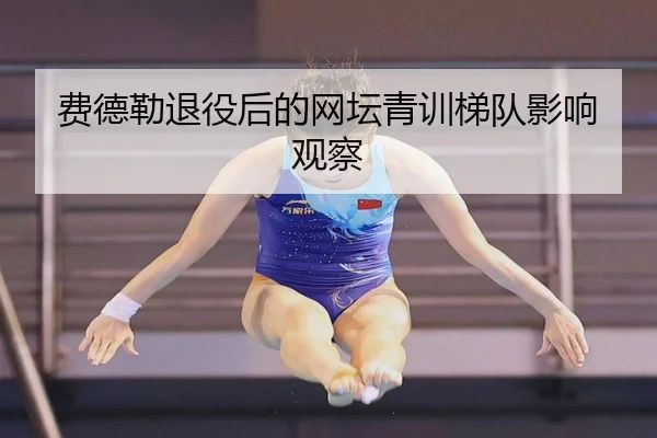 费德勒退役后的网坛青训梯队影响观察